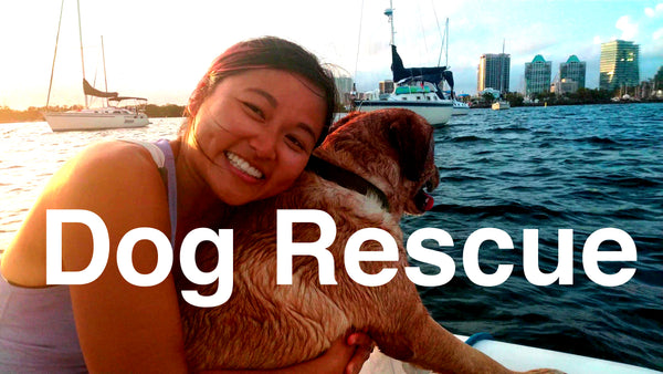 Episode 22 - Dog Rescue, Provisioning, & Miami