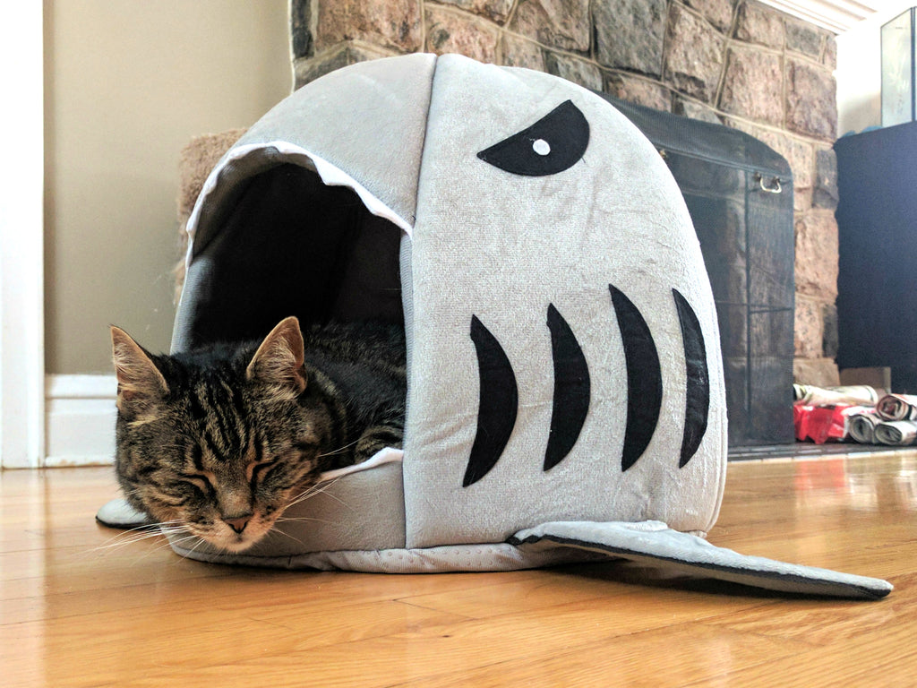 Furrocious kitty bed