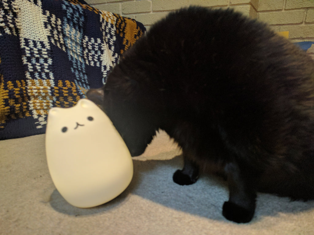 Hercie headbutting his new lamp