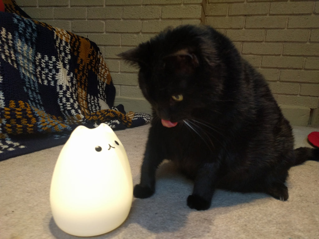 USB Kitty Night Light