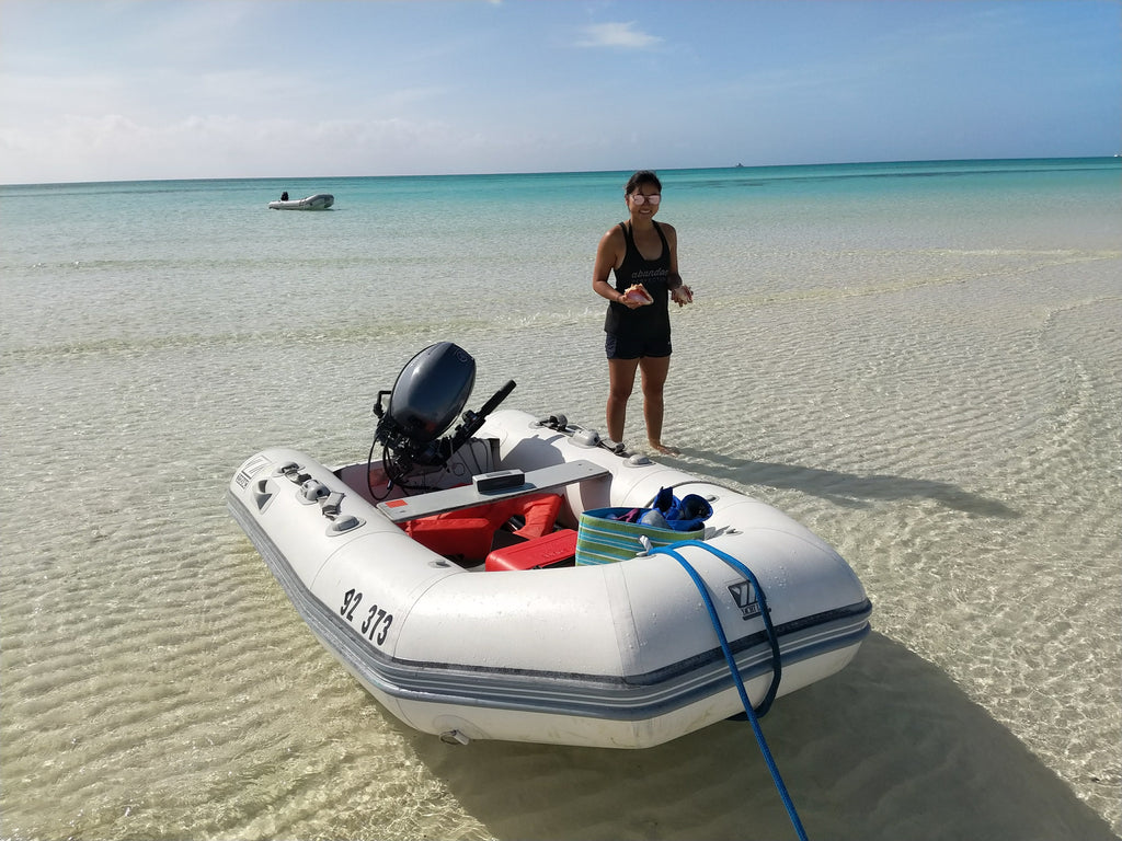 SV Catsaway Gemini 105M (105MC) for sale by Owners