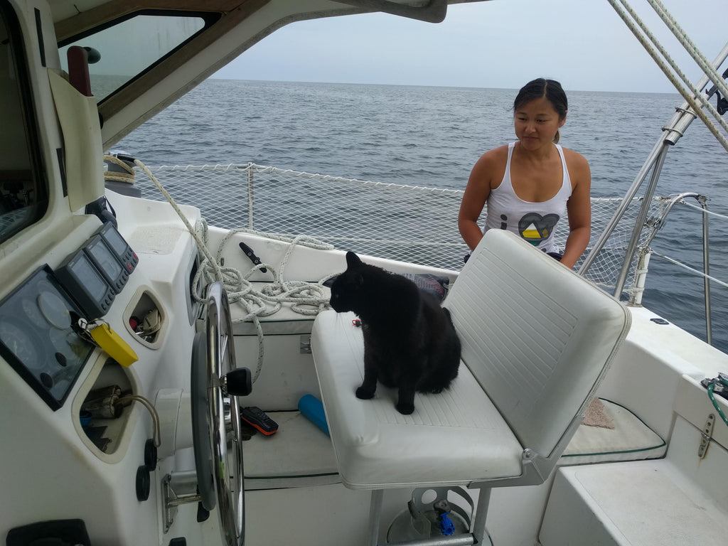 SV Catsaway Gemini 105M (105MC) for sale by Owners