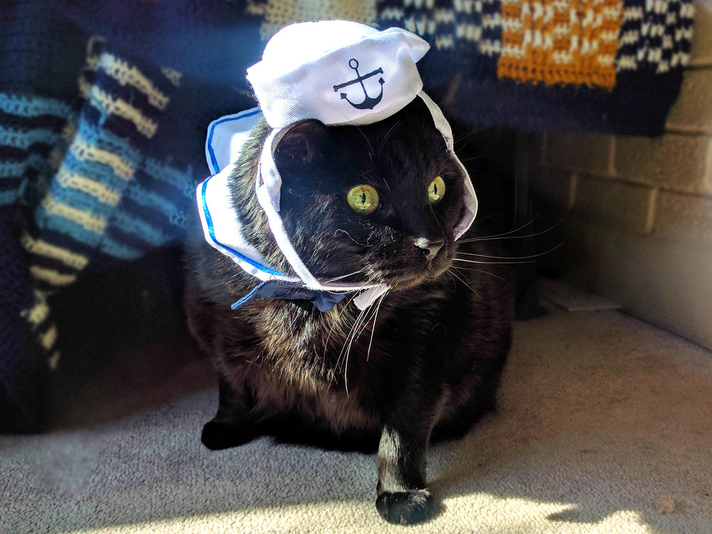 Kitty Sailors Uniform